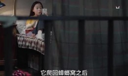 爆料小孩姐姐怎么办啊视频,事件背后真相与应对策略