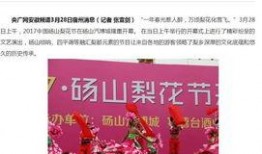 砀山新闻爆料电话,揭秘爆料背后的故事