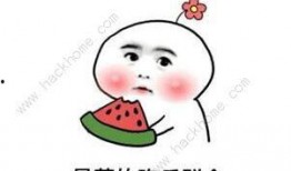 免费吃瓜抖音,抖音带你领略网络狂欢盛宴