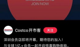 costco最新爆料,揭秘会员制超市的独家优惠与内部秘密