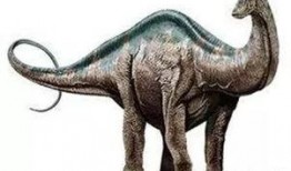 吊打哥爆料雷龙视频,雷龙视频背后的惊人真相