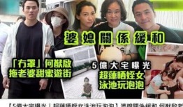 香港赌王之子爆料视频,独家爆料视频曝光惊人真相