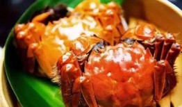 娱乐吃瓜君大闸蟹,大闸蟹背后的故事与魅力