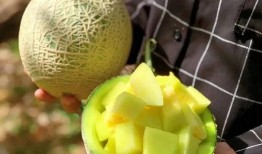 娱乐吃瓜壁纸图片大全,吃瓜壁纸大盘点