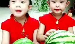 吃瓜小妈全集免费下载,全集免费下载，揭秘娱乐圈幕后风云