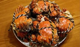 娱乐吃瓜君大闸蟹,大闸蟹背后的故事与魅力