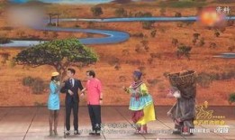 春晚同喜同乐圈内爆料,精彩瞬间抢先看