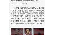 爆料媒体河北新闻,独家爆料揭示最新动态