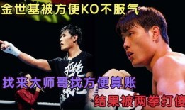 大师哥在线观看,揭秘网络教育新趋势